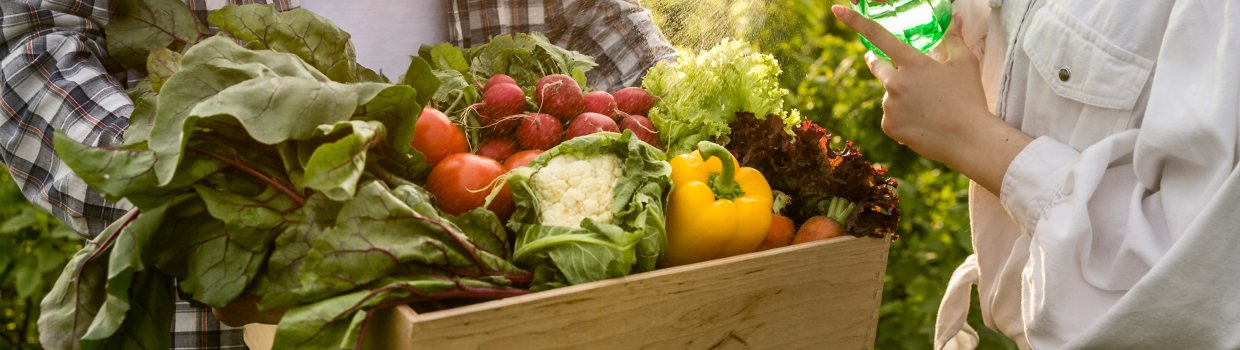 Organic food